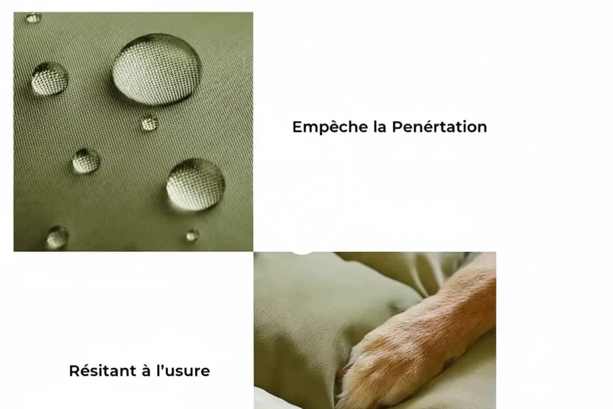 Rehausseur de Siège de Voiture pour chien