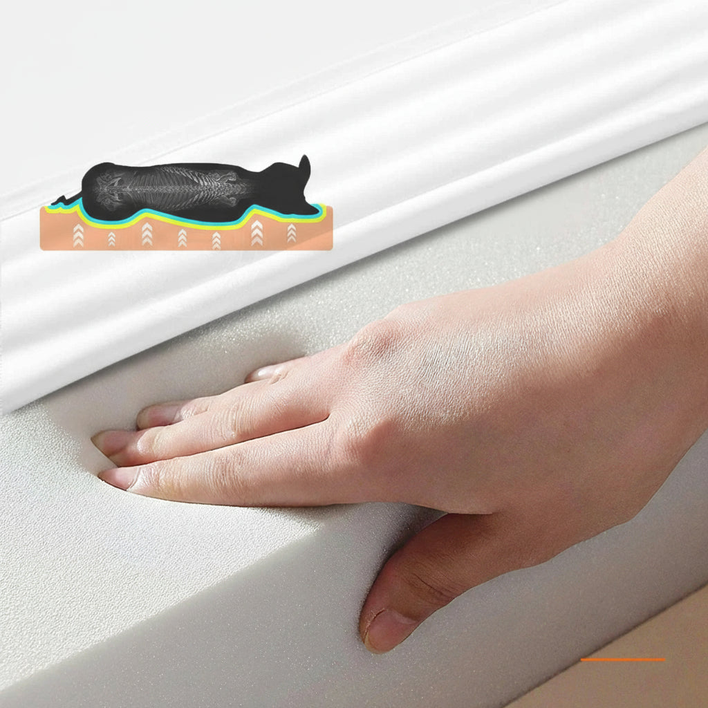 Lit pour chien  imperméable