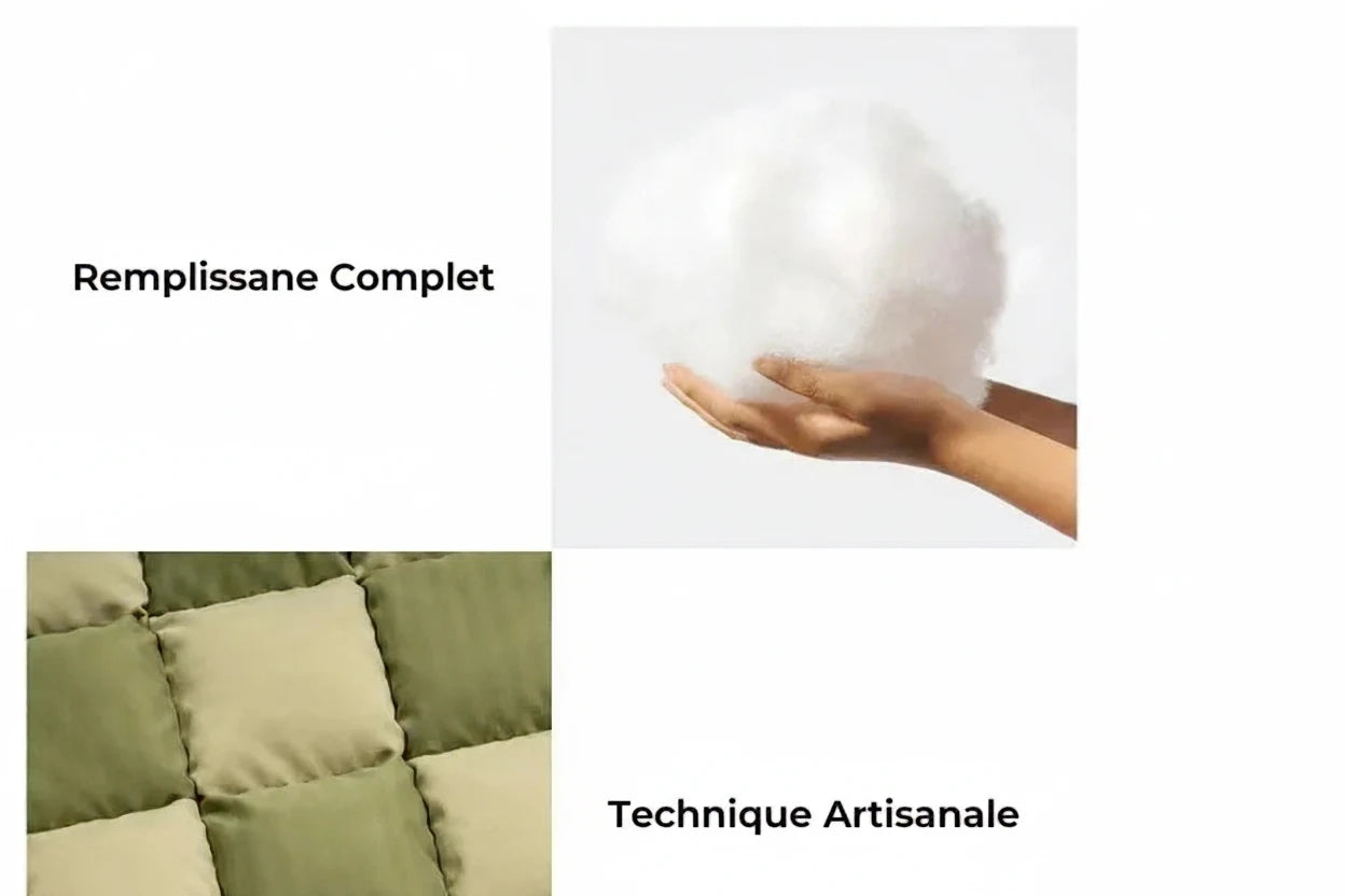 Rehausseur de Siège de Voiture pour chien