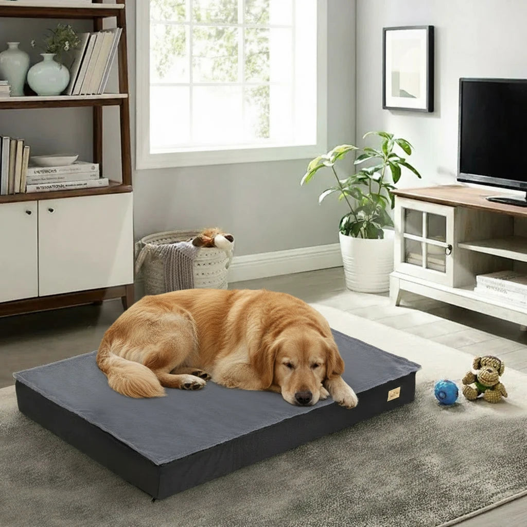 OrthoZen – Lit pour chien orthopédique haut de gamme