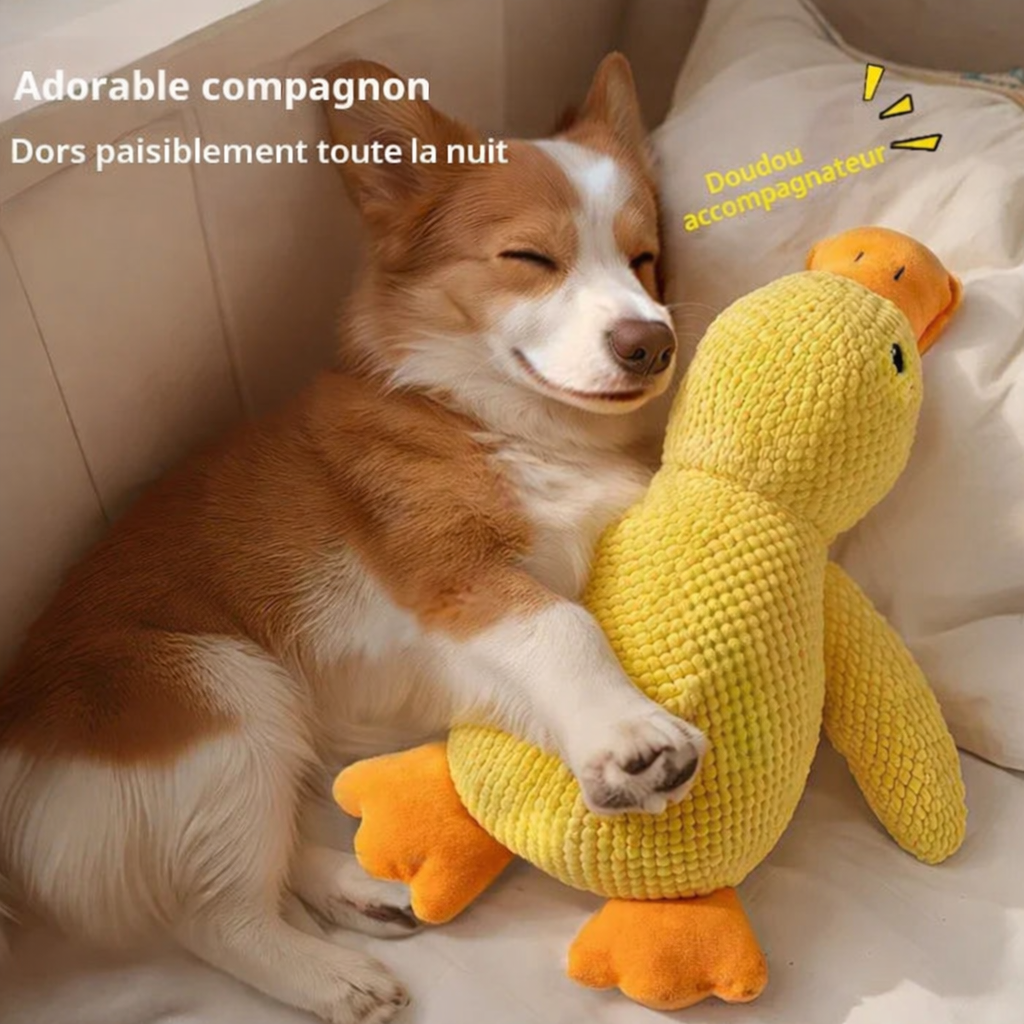 jouet en Peluche pour Chien résistant aux Morsures
